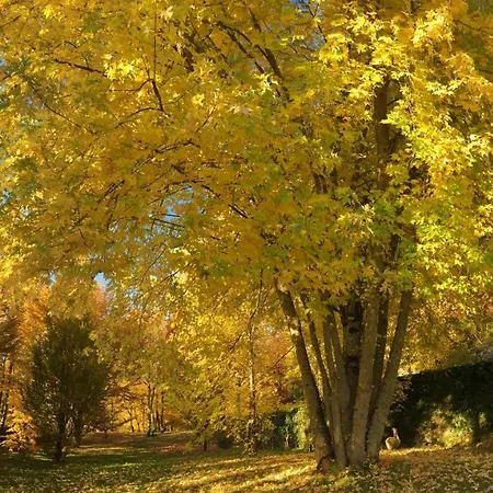 La Maison D'alice Vézac