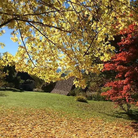 La Maison D'alice Couette-café