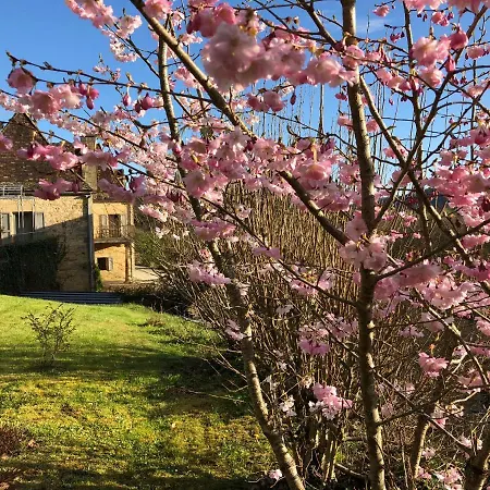 Couette-café La Maison D'alice Vézac