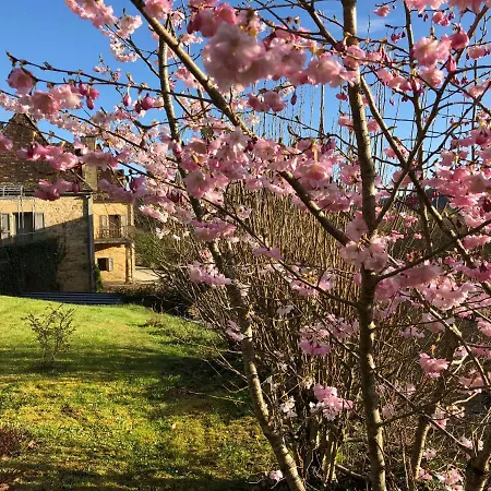 Bed & Breakfast La Maison D'alice Vezac (Dordogne)