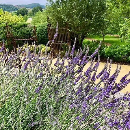 La Maison D'alice Couette-café