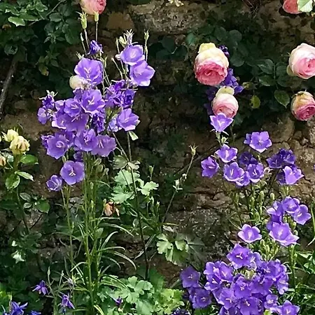 La Maison D'alice Vézac