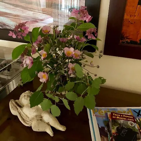 La Maison D'alice 3* Vézac