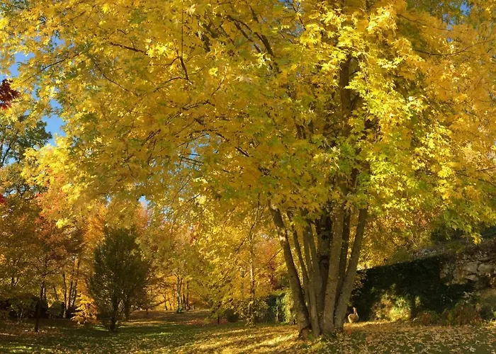 La Maison D'alice Vézac