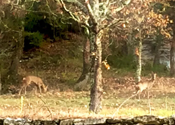 La Maison D'alice 3*