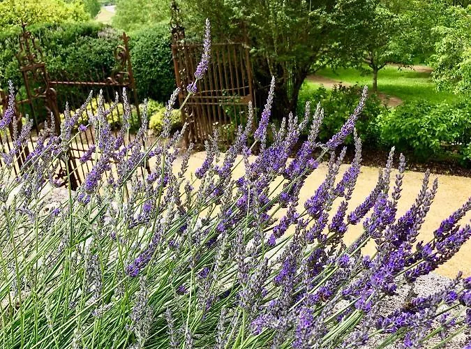 La Maison D'alice Bed & Breakfast