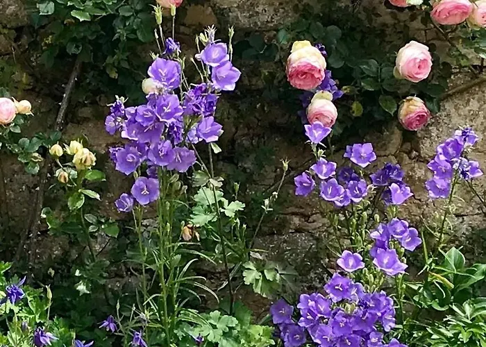 La Maison D'alice Vézac