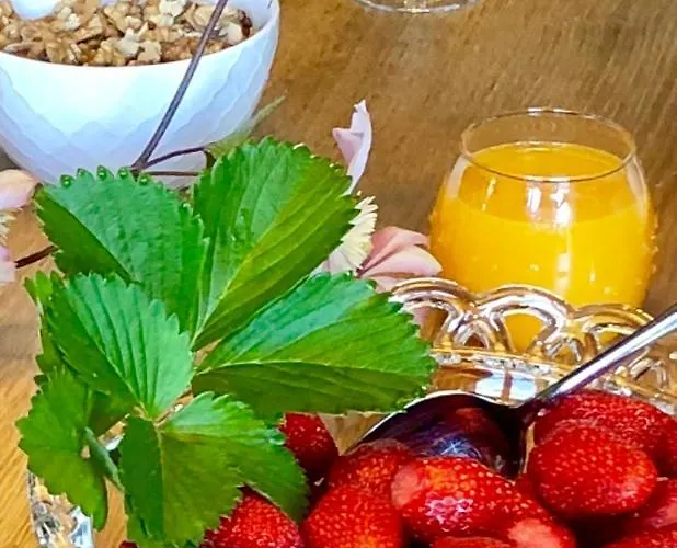 La Maison D'alice Bed & Breakfast Vézac