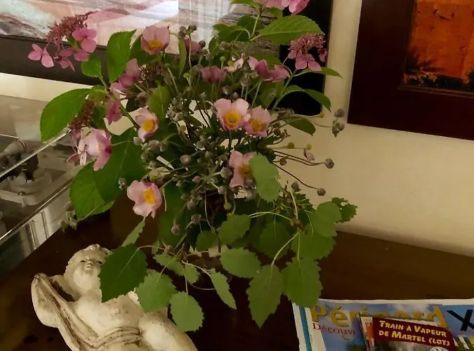 La Maison D'alice 3* Vézac